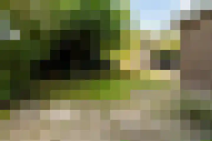 Korteveldsweg 8 Lemele thumbnail 27