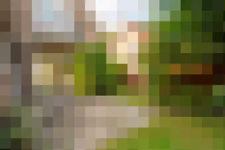 Korteveldsweg 8 Lemele thumbnail 28
