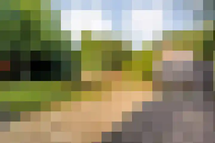 Korteveldsweg 8 Lemele thumbnail 29