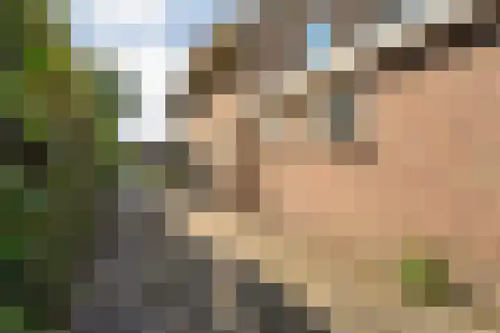 Korteveldsweg 8 Lemele thumbnail 30