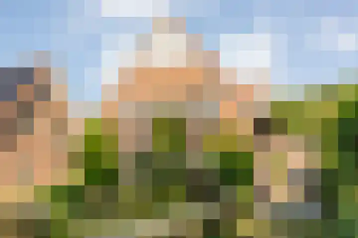 Korteveldsweg 8 Lemele thumbnail 4