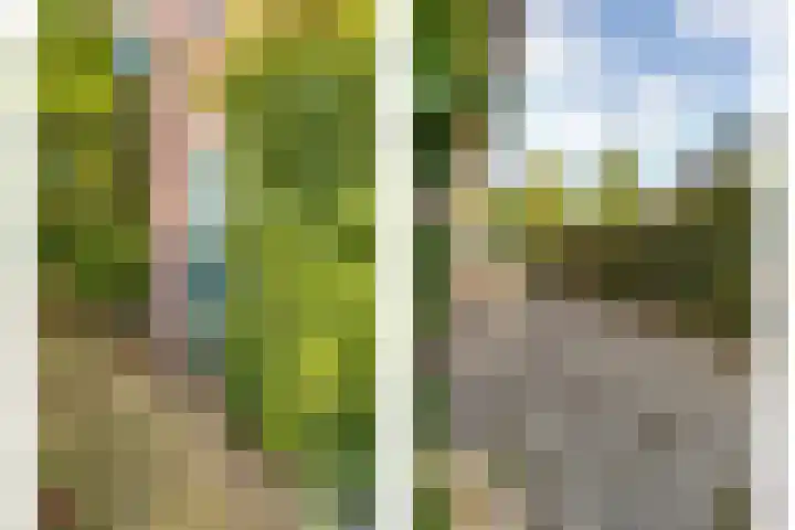 Korteveldsweg 8 Lemele thumbnail 5