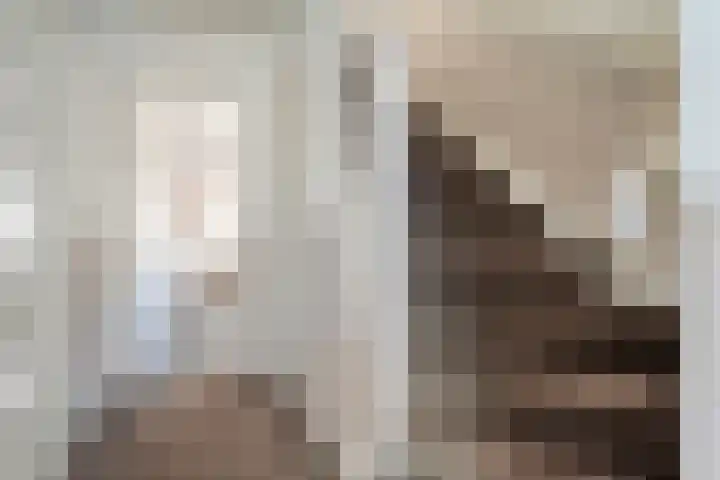 Korteveldsweg 8 Lemele thumbnail 6