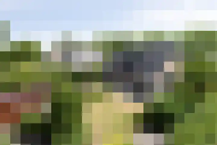 Kortevliet 32 E Den Helder thumbnail 23