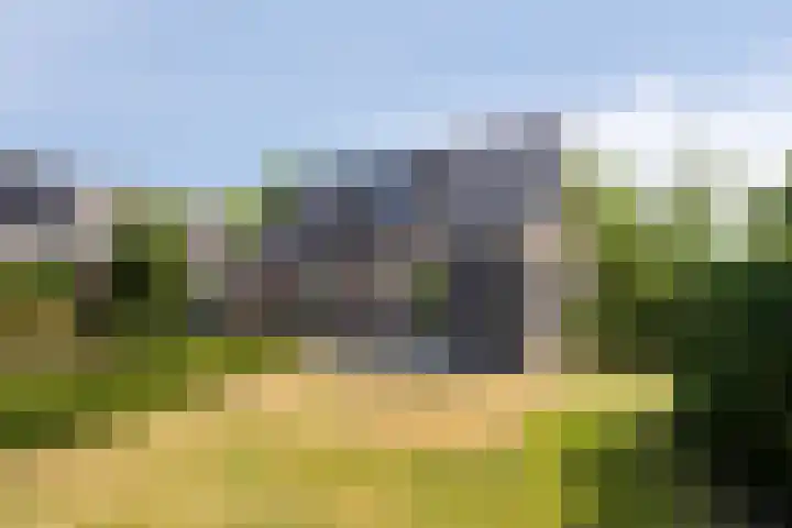Kortevliet 32 E Den Helder thumbnail 24