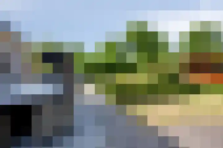 Kortevliet 32 E Den Helder thumbnail 27