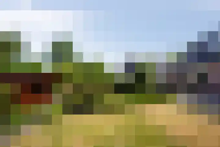 Kortevliet 32 E Den Helder thumbnail 28