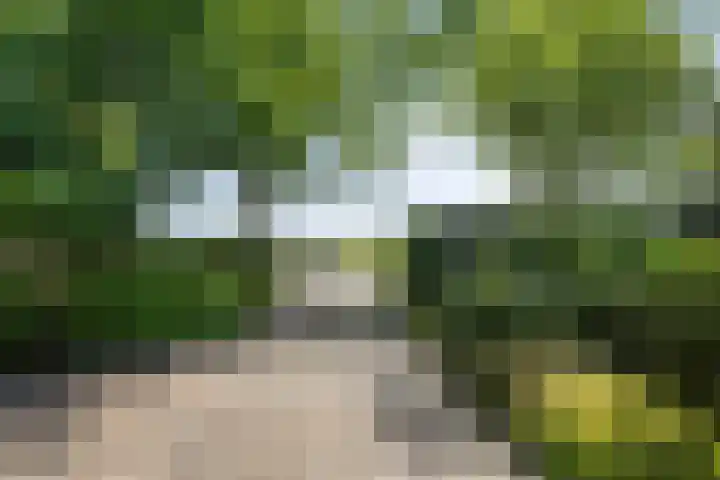 Kortevliet 32 E Den Helder thumbnail 29