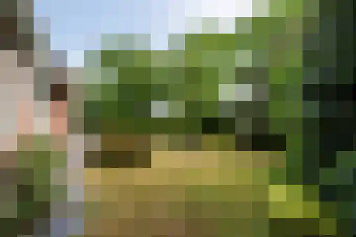 Kortevliet 32 E Den Helder thumbnail 30
