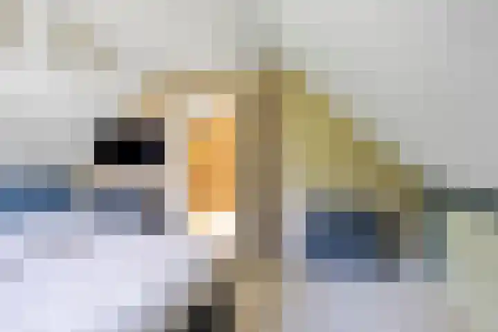 Kortevliet 32 E Den Helder thumbnail 34