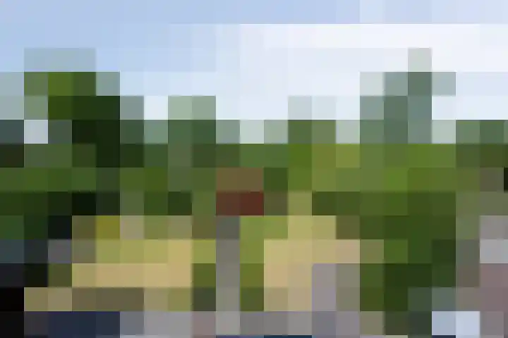 Kortevliet 32 E Den Helder thumbnail 41