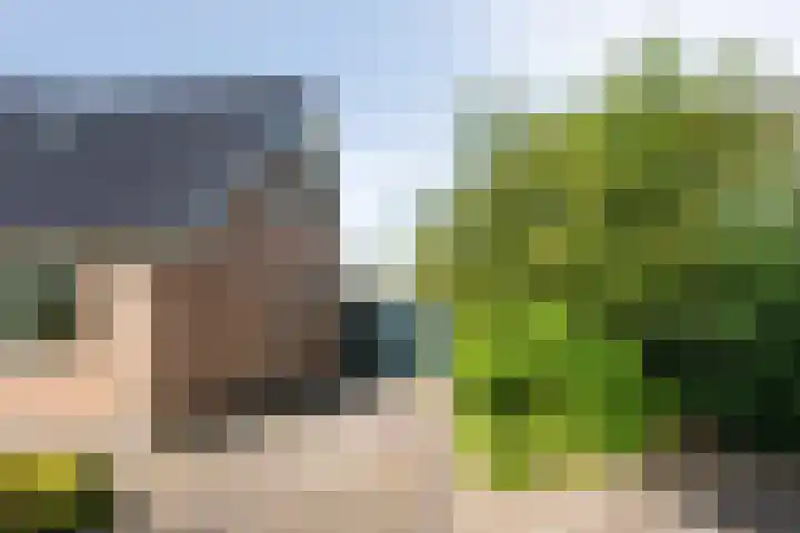Kortevliet 32 E Den Helder thumbnail 5