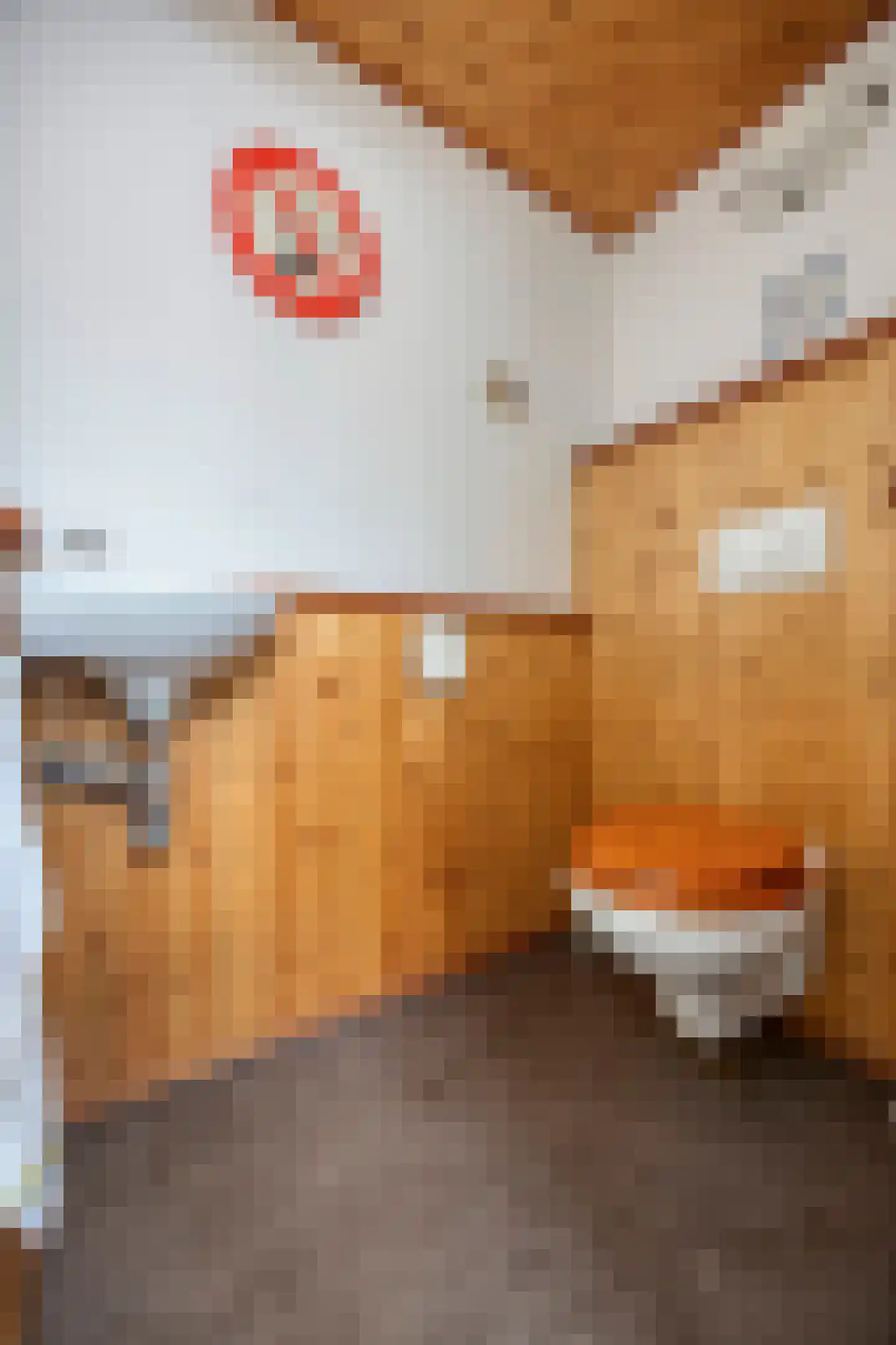 Korteweegje 14 Dirksland thumbnail 13