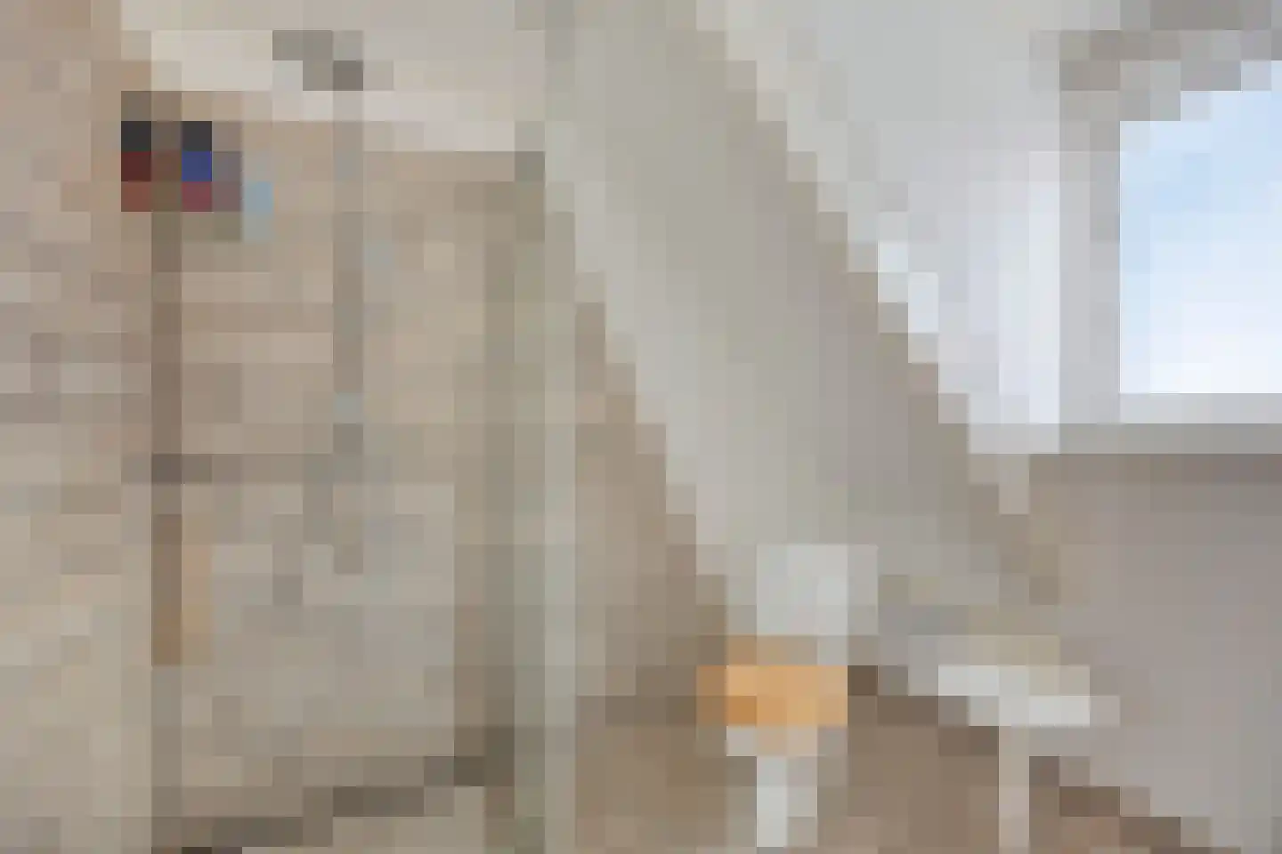 Korteweegje 14 Dirksland thumbnail 17
