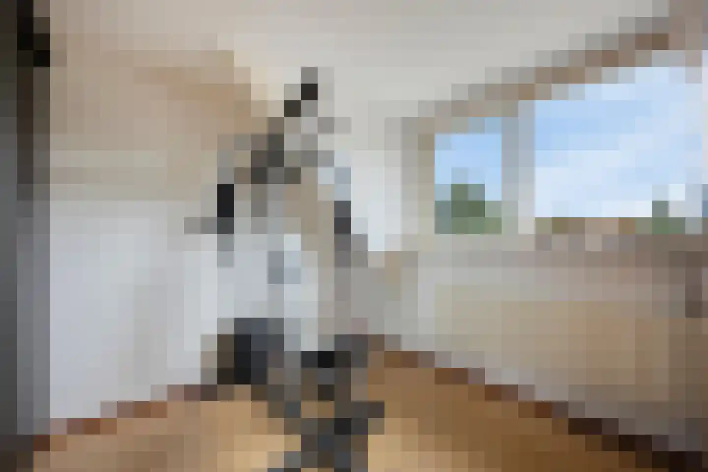 Korteweegje 14 Dirksland thumbnail 20