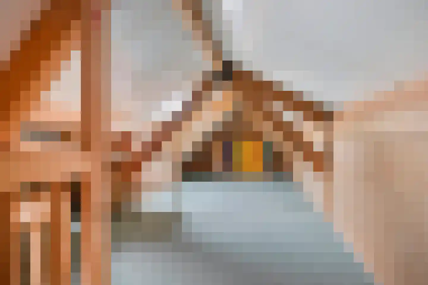 Korteweegje 14 Dirksland thumbnail 22