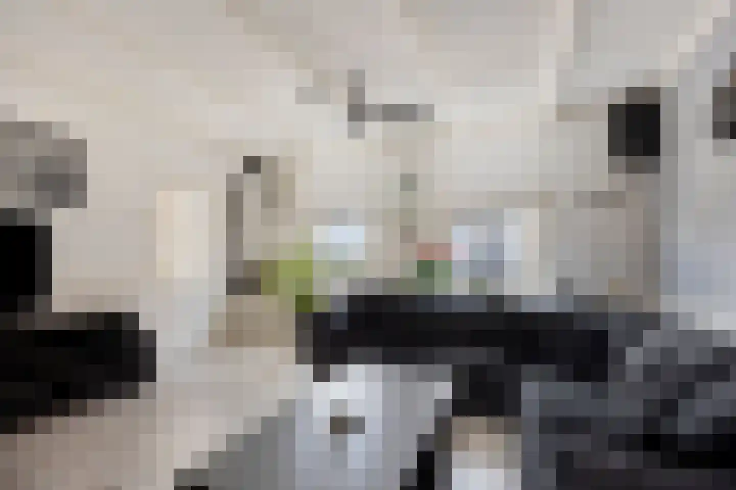 Korteweegje 14 Dirksland thumbnail 5