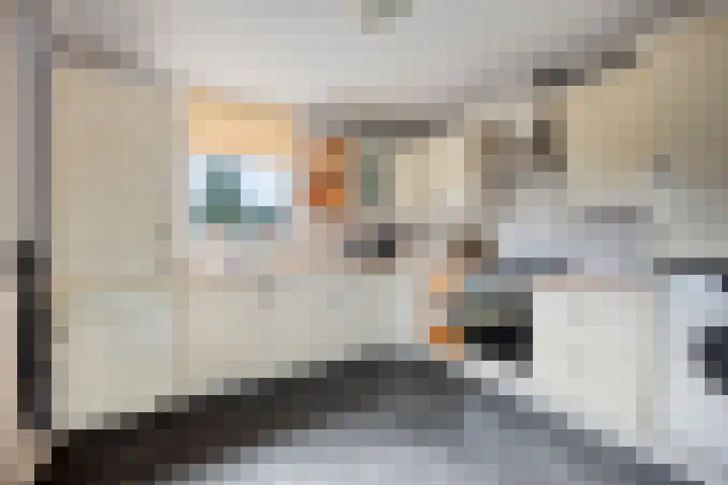 Korteweegje 14 Dirksland thumbnail 8