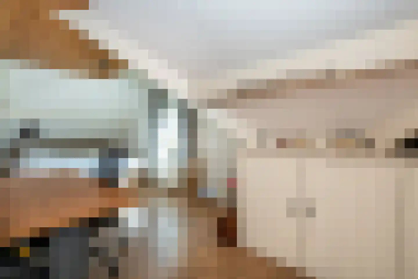 Korteweegje 23 Dirksland thumbnail 26