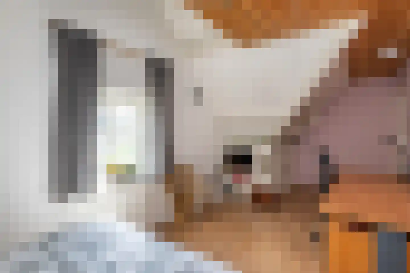 Korteweegje 23 Dirksland thumbnail 28