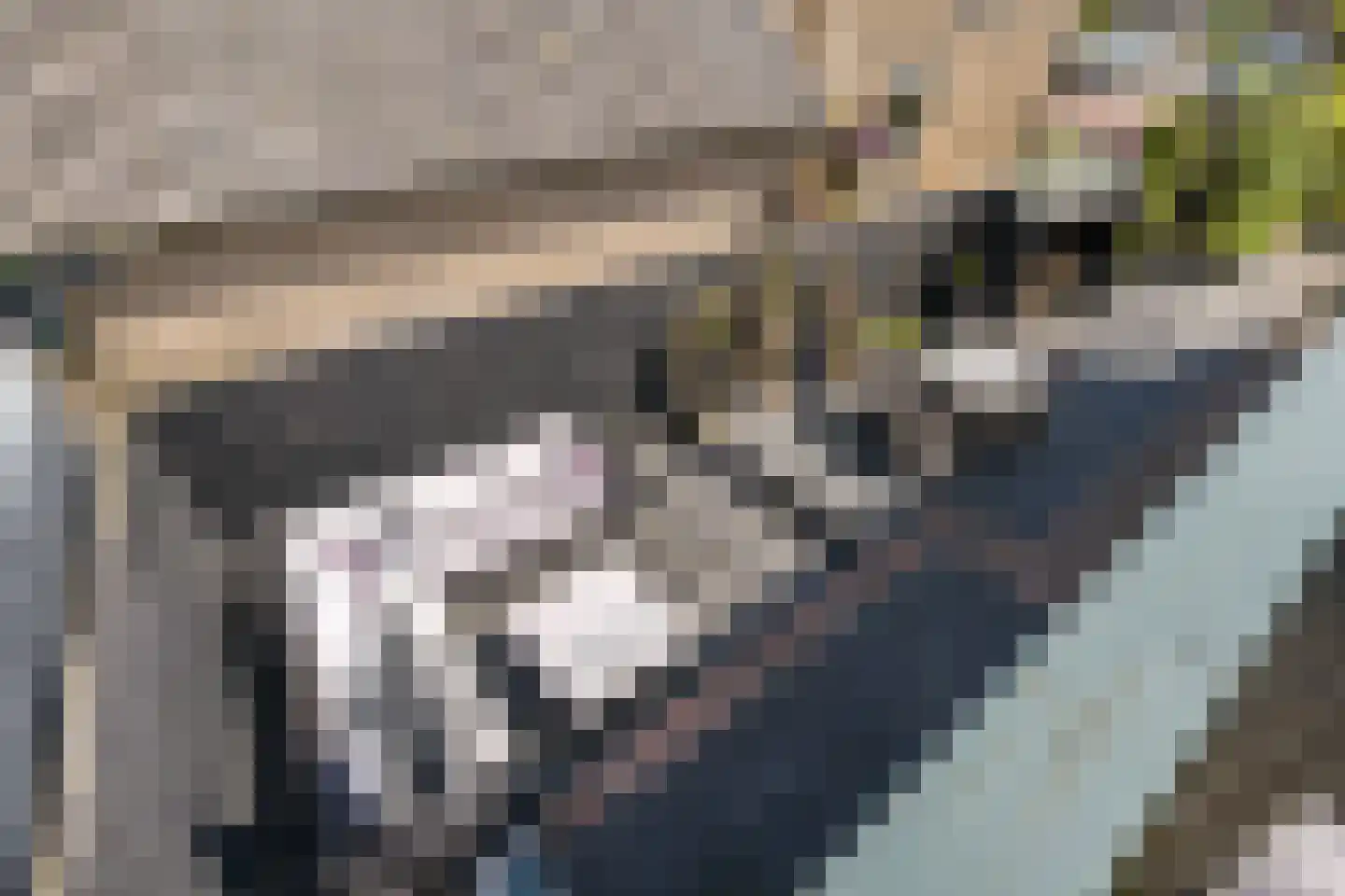 Korteweegje 23 Dirksland thumbnail 35