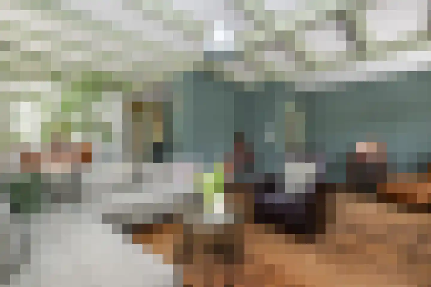 Korteweegje 23 Dirksland thumbnail 6