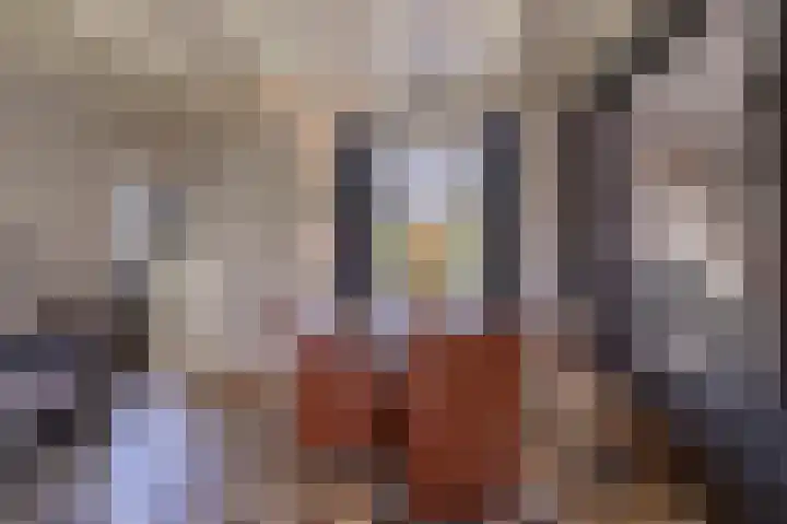Korteweegje 24 Nieuwe-Tonge thumbnail 12