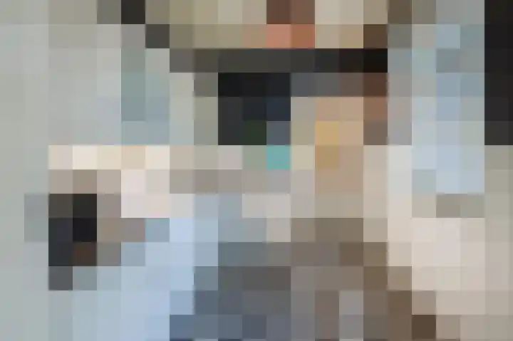Korteweegje 24 Nieuwe-Tonge thumbnail 14