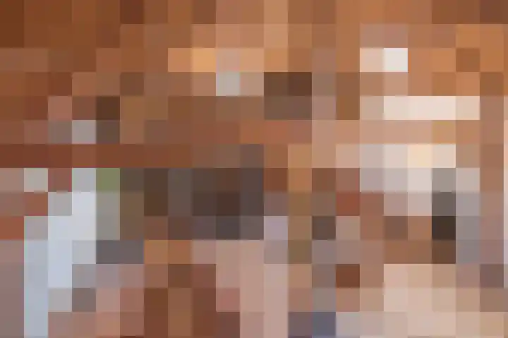 Korteweegje 24 Nieuwe-Tonge thumbnail 18