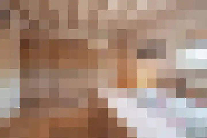 Korteweegje 24 Nieuwe-Tonge thumbnail 21