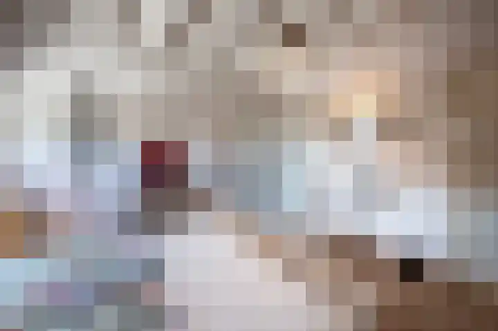 Korteweegje 24 Nieuwe-Tonge thumbnail 22