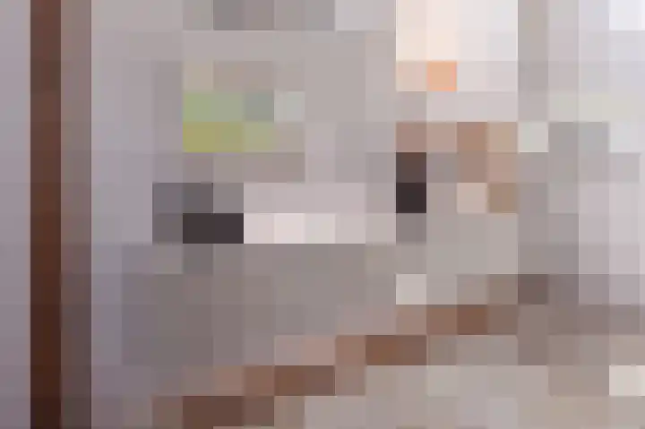 Korteweegje 24 Nieuwe-Tonge thumbnail 23