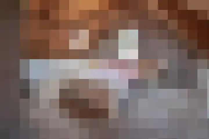Korteweegje 24 Nieuwe-Tonge thumbnail 25