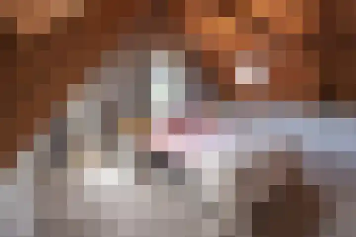 Korteweegje 24 Nieuwe-Tonge thumbnail 26