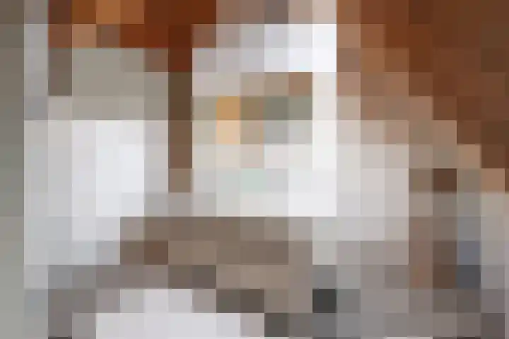Korteweegje 24 Nieuwe-Tonge thumbnail 27