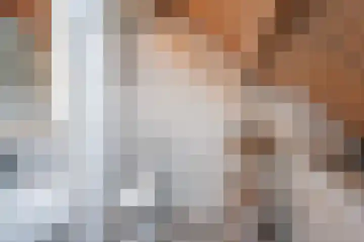 Korteweegje 24 Nieuwe-Tonge thumbnail 28