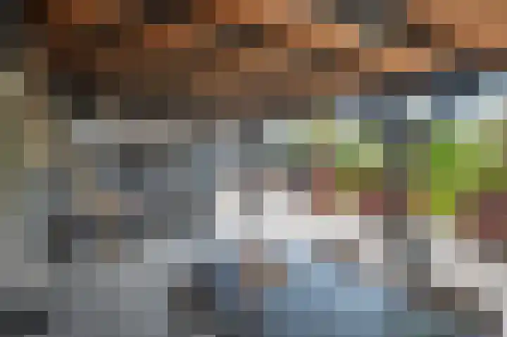 Korteweegje 24 Nieuwe-Tonge thumbnail 30