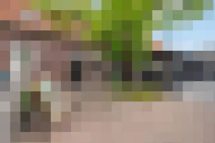 Korteweegje 24 Nieuwe-Tonge thumbnail 31