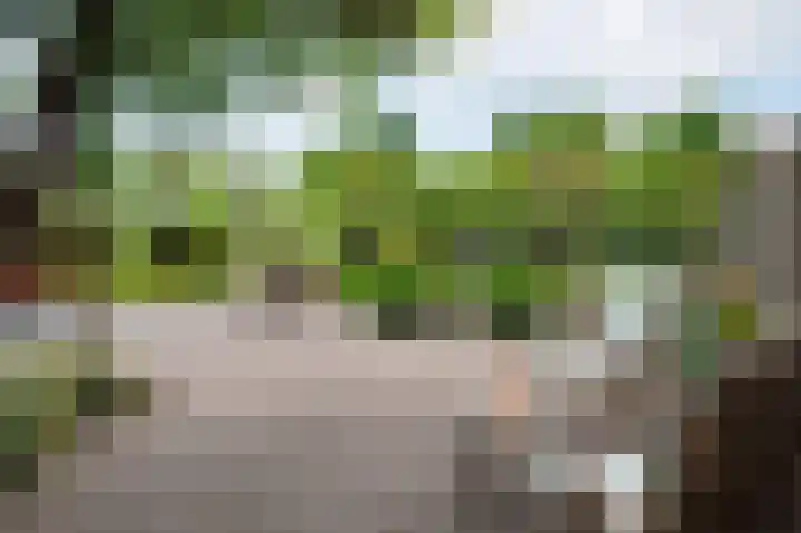 Korteweegje 24 Nieuwe-Tonge thumbnail 32