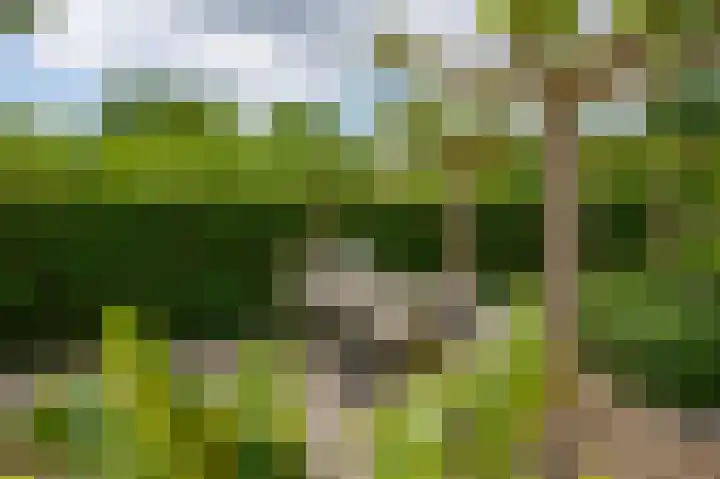 Korteweegje 24 Nieuwe-Tonge thumbnail 33