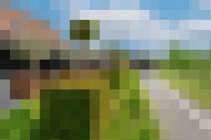Korteweegje 24 Nieuwe-Tonge thumbnail 34