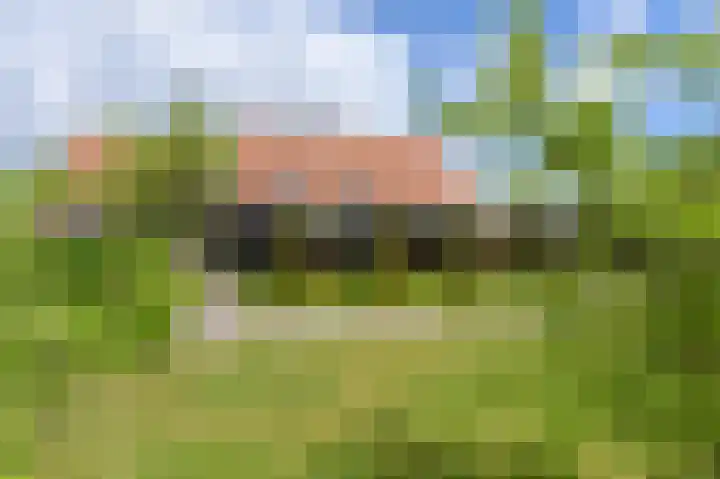 Korteweegje 24 Nieuwe-Tonge thumbnail 35