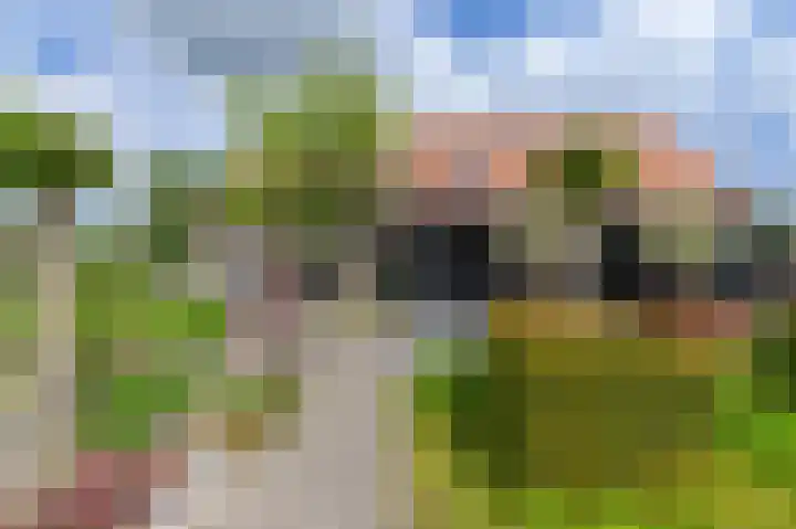 Korteweegje 24 Nieuwe-Tonge thumbnail 36