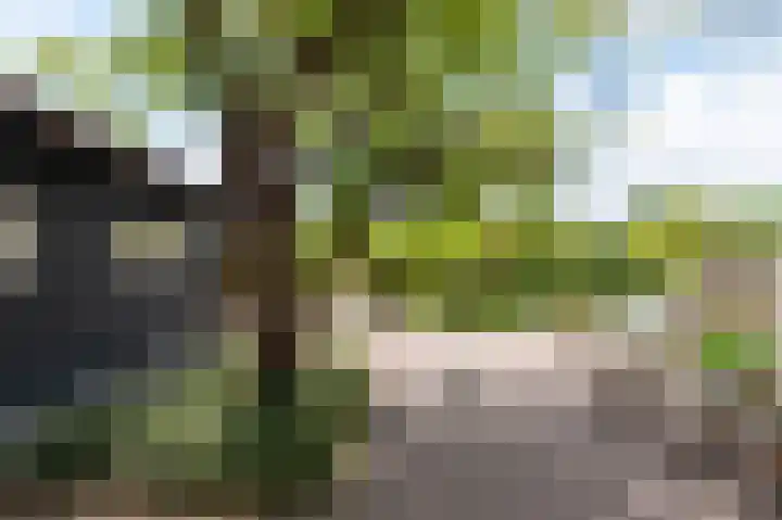 Korteweegje 24 Nieuwe-Tonge thumbnail 37