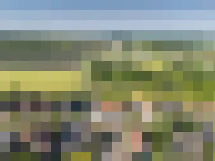 Korteweegje 24 Nieuwe-Tonge thumbnail 40