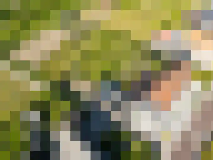 Korteweegje 24 Nieuwe-Tonge thumbnail 42