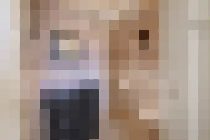 Korteweegje 24 Nieuwe-Tonge thumbnail 8