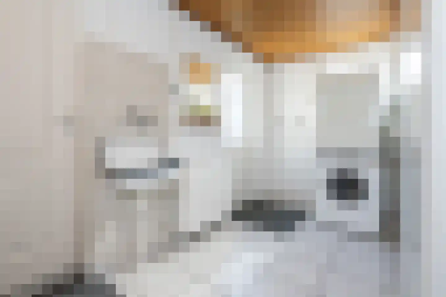 Korteweegje 26 Nieuwe-Tonge thumbnail 14