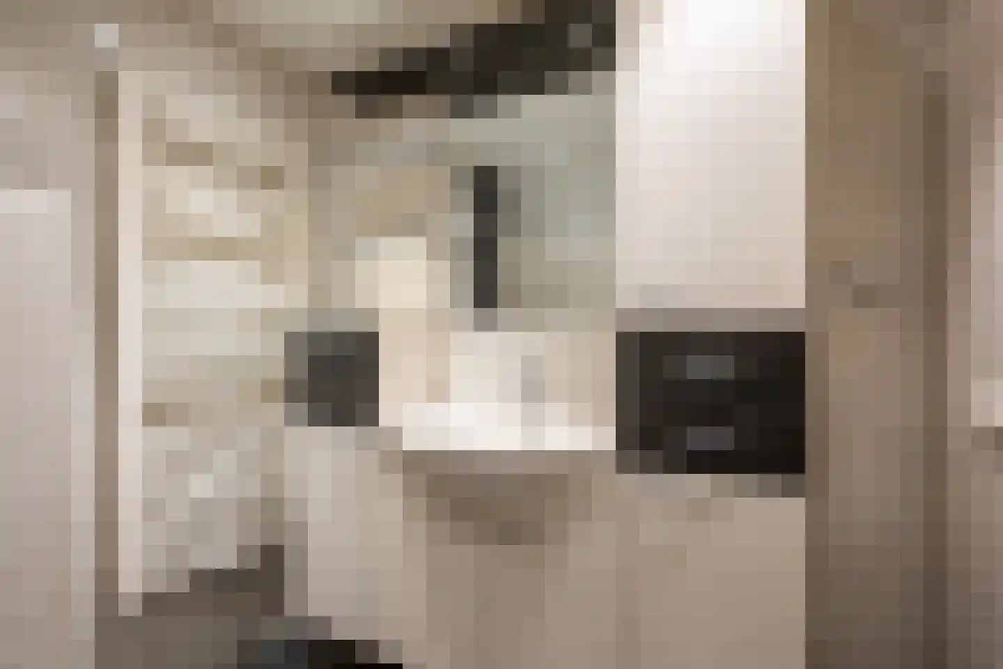 Korteweegje 26 Nieuwe-Tonge thumbnail 22