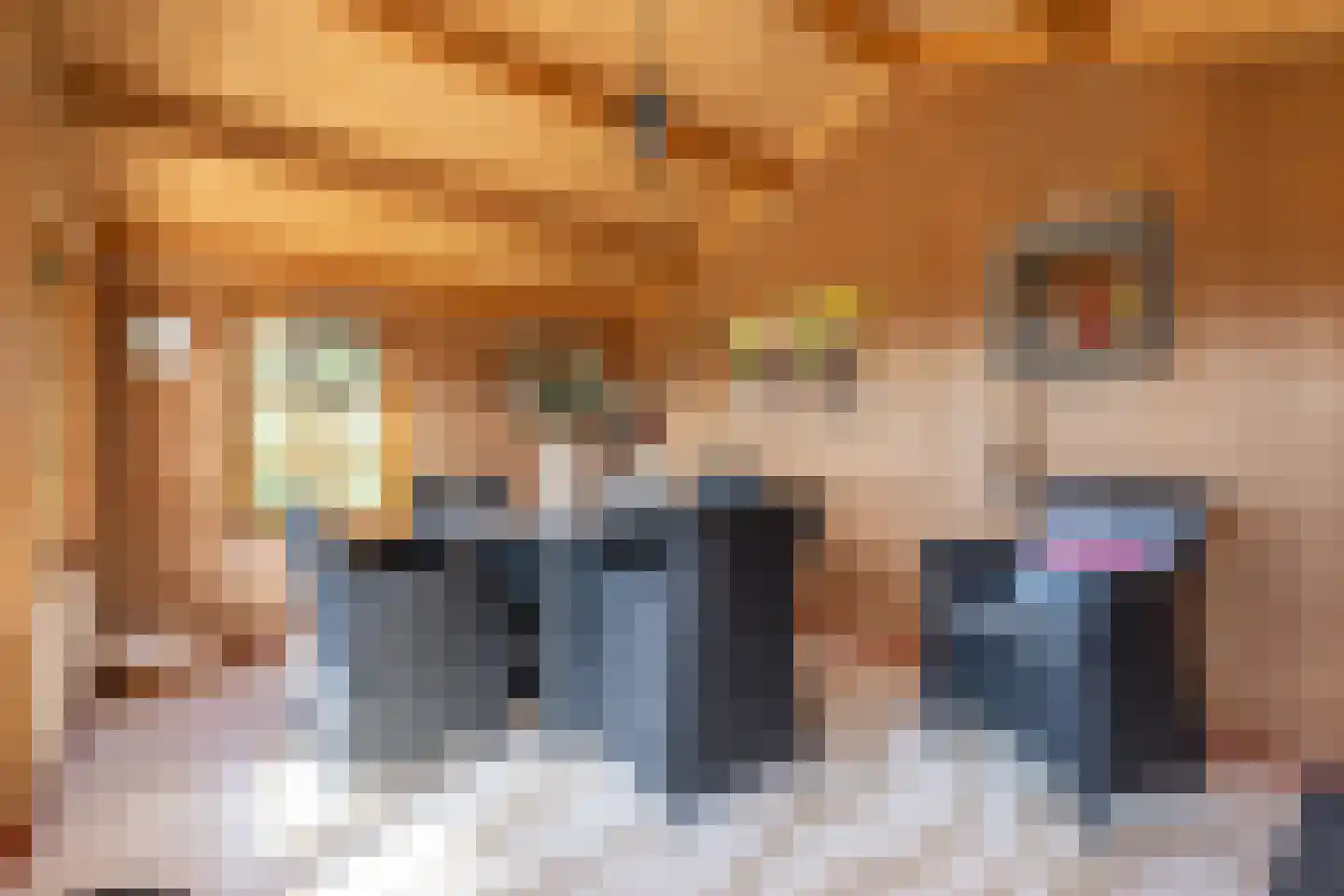 Korteweegje 26 Nieuwe-Tonge thumbnail 29